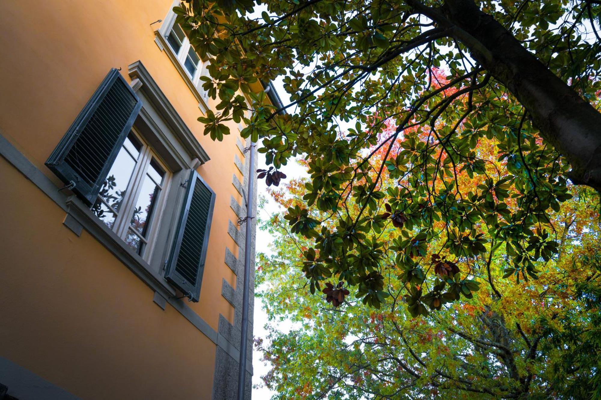 Villa Ines Charme Near Lucca Altopascio Exterior photo